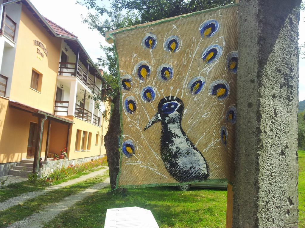 Pensiunea Elena Vistisoara Cameră foto