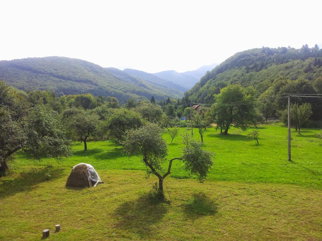 Pensiunea Elena Vistisoara Cameră foto