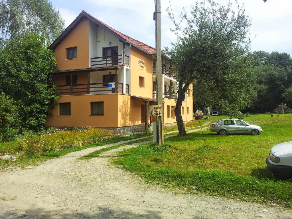 Pensiunea Elena Vistisoara Cameră foto