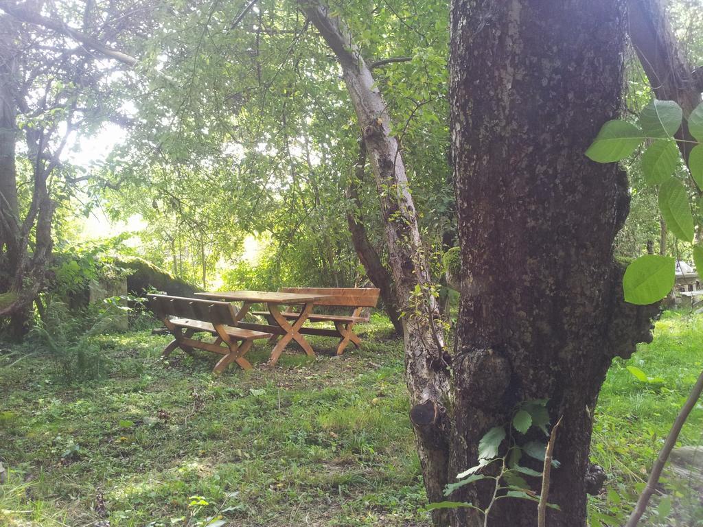 Pensiunea Elena Vistisoara Cameră foto