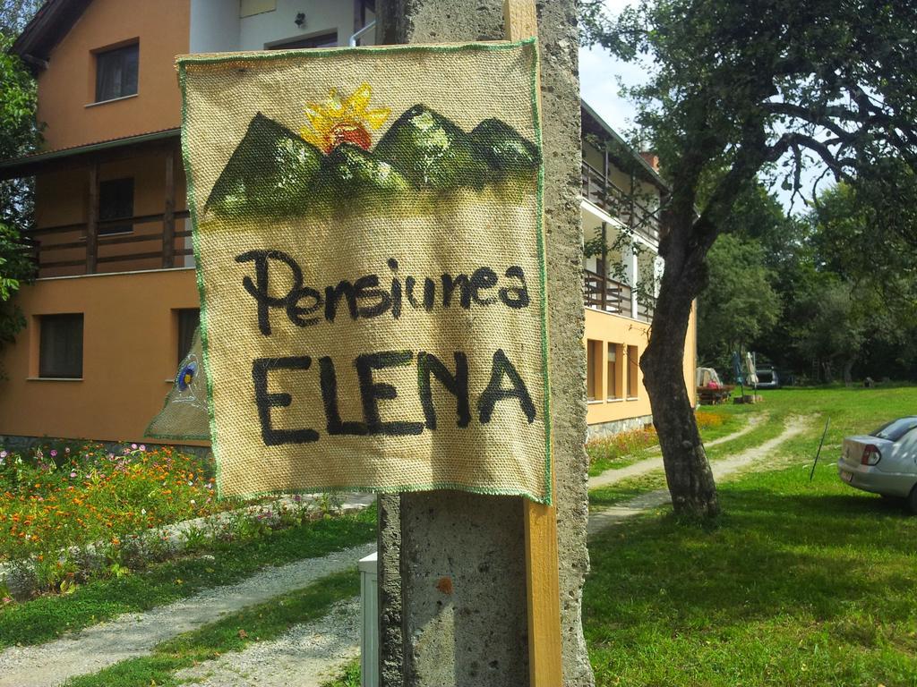 Pensiunea Elena Vistisoara Cameră foto